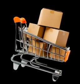 Shopping Support